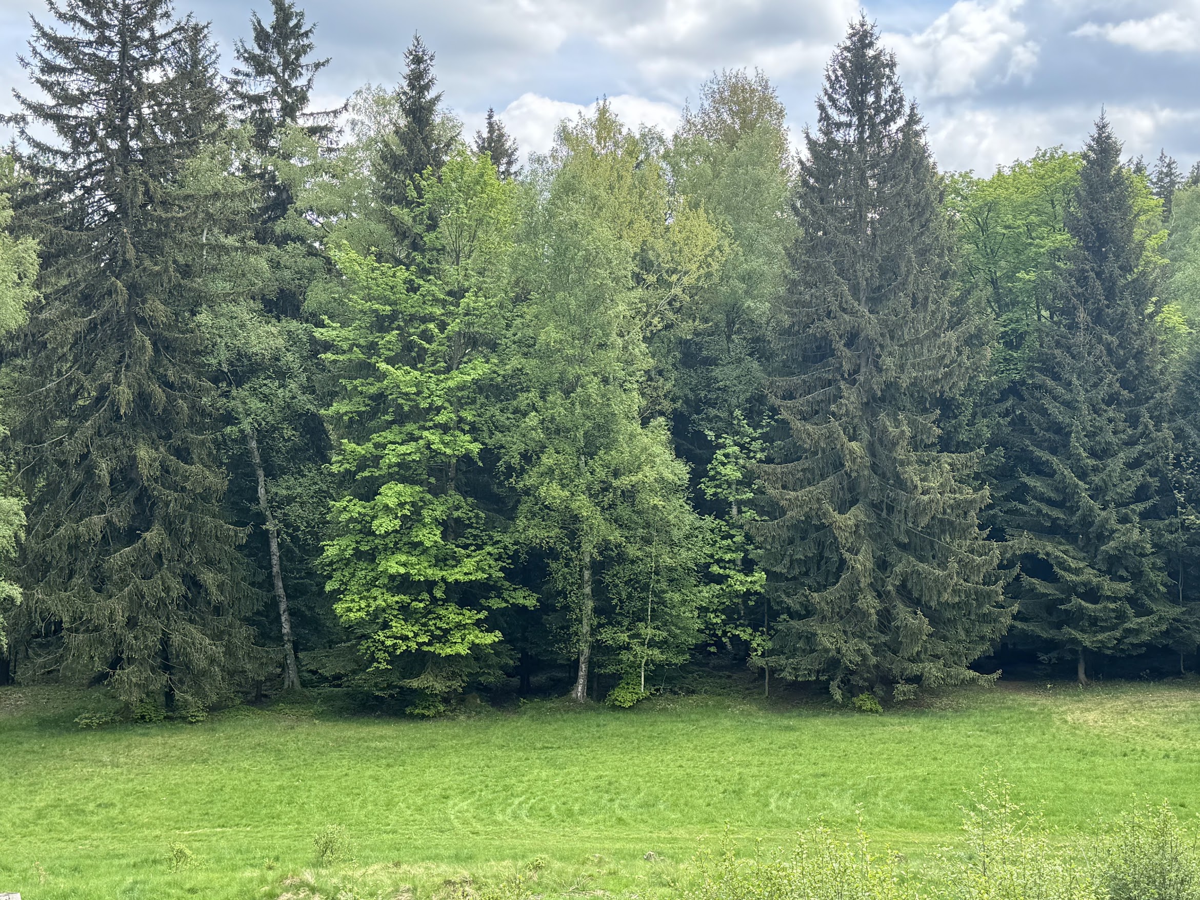Widok z pokoju