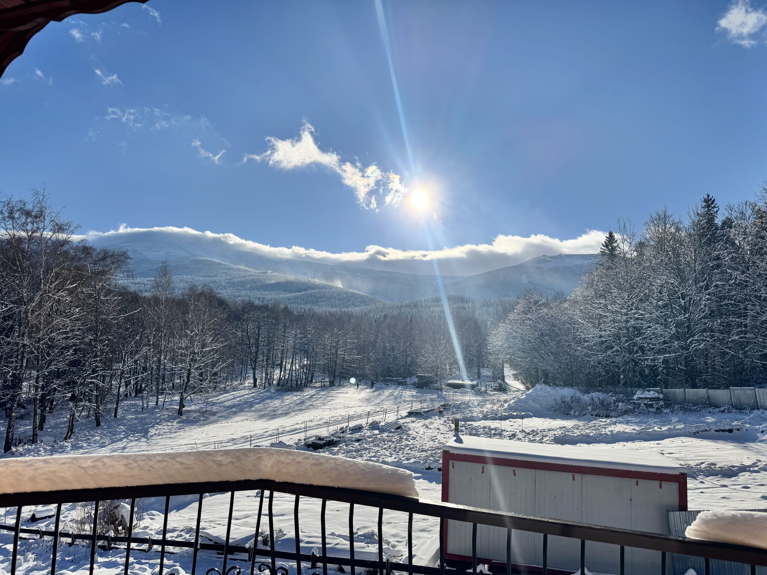 Widok z pokoju