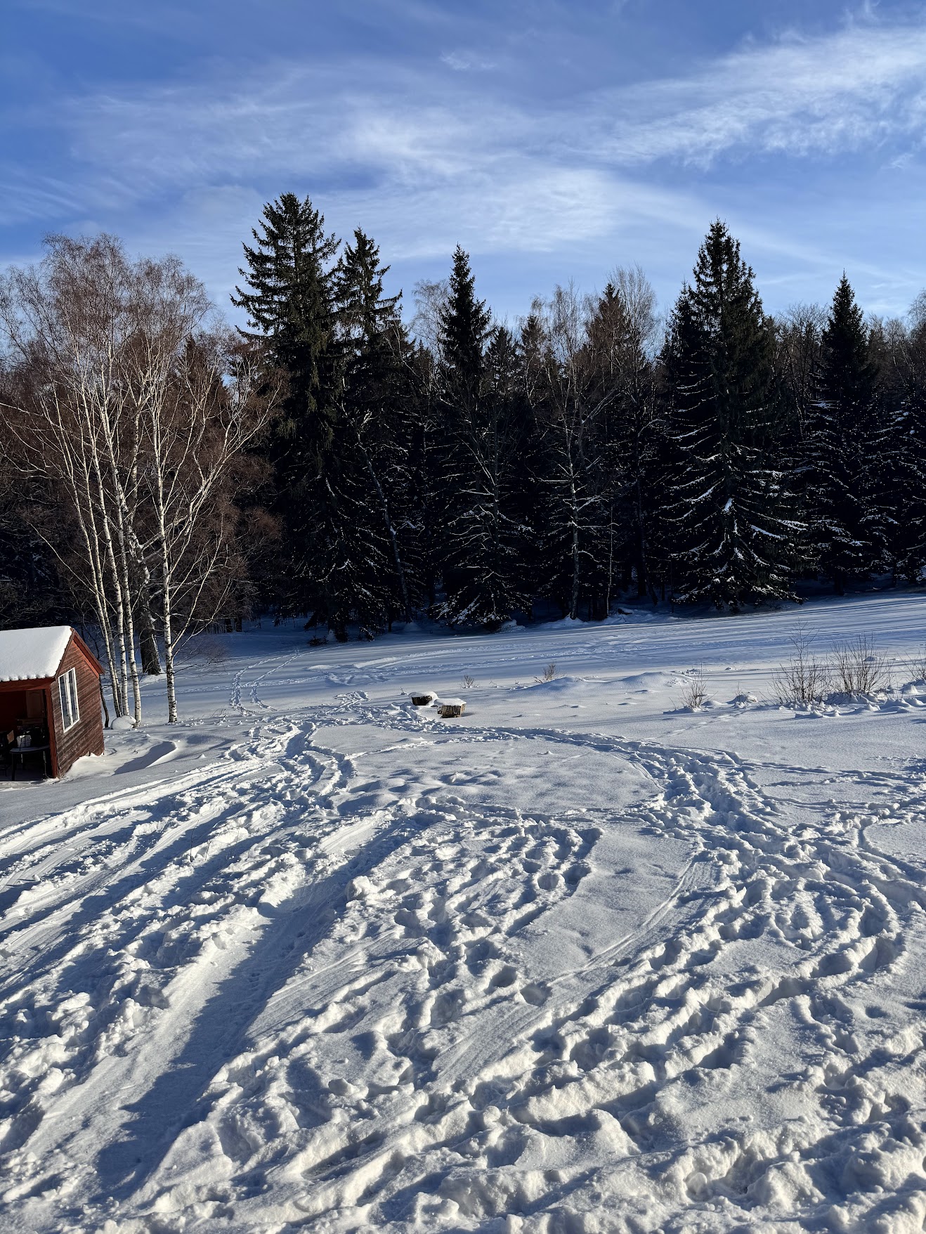 Widok z pokoju